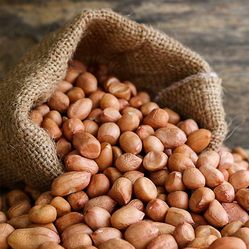 Peanut